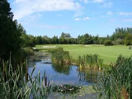 Image result for Rhuddlan Golf Club