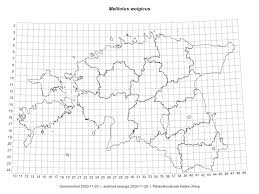 Attēlu rezultāti vaicājumam “Melilotus wolgicus”