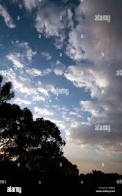 Attēlu rezultāti vaicājumam “altostratus”