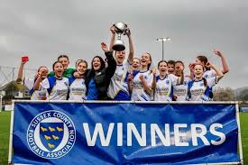 Image result for Haywards Heath Town Ladies Football Club
