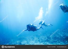 Image result for Three Seas Diving