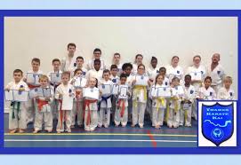 Image result for Thames Valley Karate