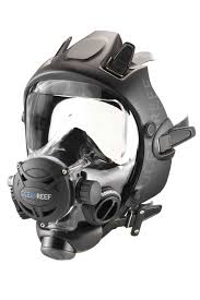 Image result for Headstream Divers