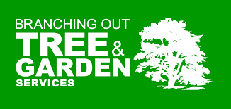 Image result for Henlow Anglo-Usa