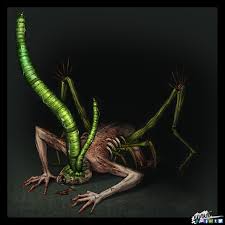 Attēlu rezultāti vaicājumam “Leucochloridium paradoxum”