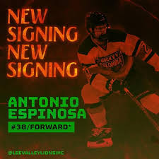 Image result for Romford Junior Ice Hockey Club