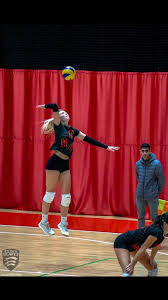 Image result for Tendring Volleyball Club