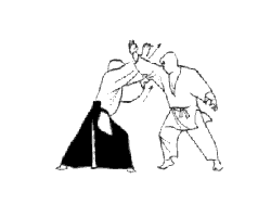 Image result for Goshin Ryu Atemi JuJitsu