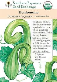 Image result for tromboncino