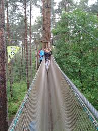 Image result for Go Ape! Alice Holt