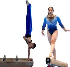 Image result for York University Gymnastics Club