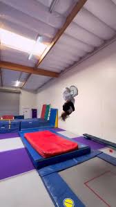 Image result for Monarchs Sports Acrobatics Club