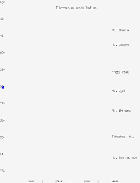 Attēlu rezultāti vaicājumam “Dicranum undulatum”