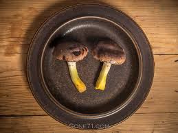 Attēlu rezultāti vaicājumam “Gomphidius glutinosus”