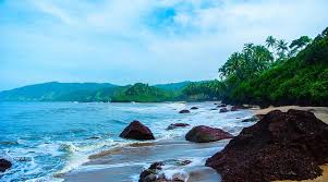 Image result for goa beaches