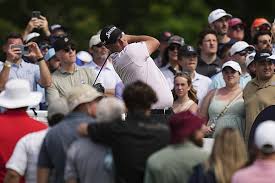 Image result for seppi tehron