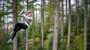 Image result for Go Ape! Grizedale