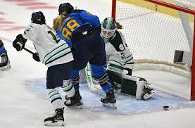 Image result for Fleet Hockey Club