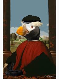 Image result for Fratercula cirrhata