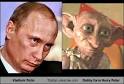 Vladimir Putin Totally Looks Like Dobby form Harry Poter - 128940374075080766