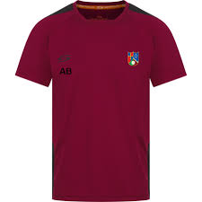 Image result for Grayshott Cricket Club