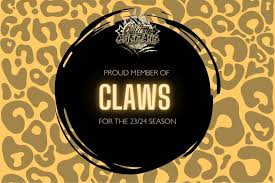 Image result for Chiltern Flyers