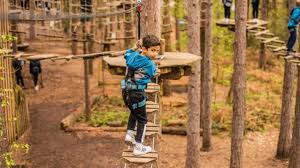 Image result for Go Ape! Grizedale