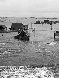 Image result for zeeland 1953