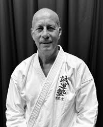 Image result for Aylesbury Vale Seido Karate