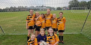 Image result for Springhead Association Football Club