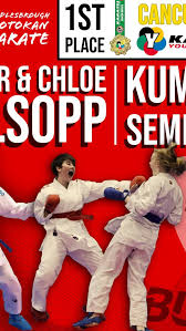 Image result for middlesbrough karate academy