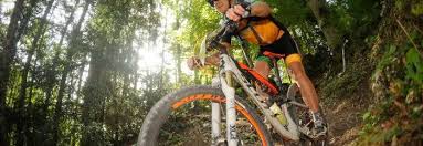 Image result for Norwood Paragon Cycling Club