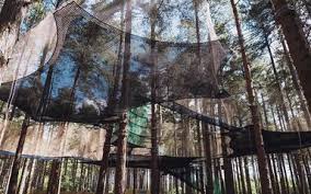 Image result for Go Ape! Moors Valley