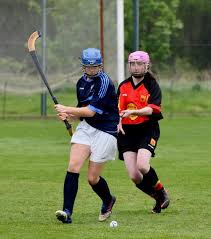 Image result for Lochcarron Camanachd