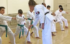 Image result for Harpenden JKA Karate Club