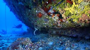 Image result for Deep and Wide Diving