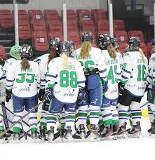 Image result for Kingston Ice Dance Club