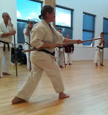 Image result for Reading Karate-Do Shotokai