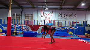 Image result for Phoenix Gymnastics