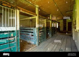 Image result for Old Park Riding Stables