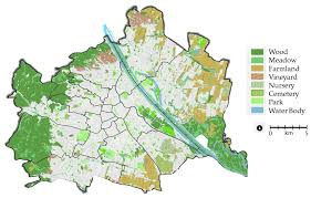 Attēlu rezultāti vaicājumam “Serpoleskea confervoides”