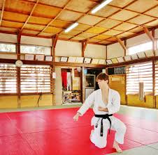 Image result for enpi dojo