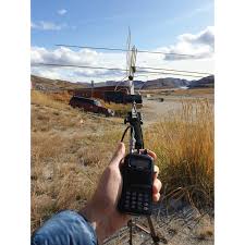 Image result for digitenne yagi