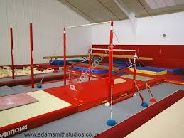 Image result for Hinckley Gymnastics Club