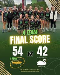 Image result for Grasshoppers Netball Club
