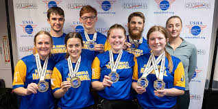 Image result for Deva Handball Club