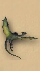 Image result for Wyvern Dragons Junior Badminton Club