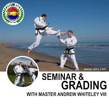 Image result for Wirral UKTA Taekwon-do