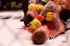 Image result for Cardiff Mma