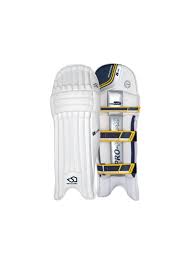 Image result for Aldwick Cricket Club